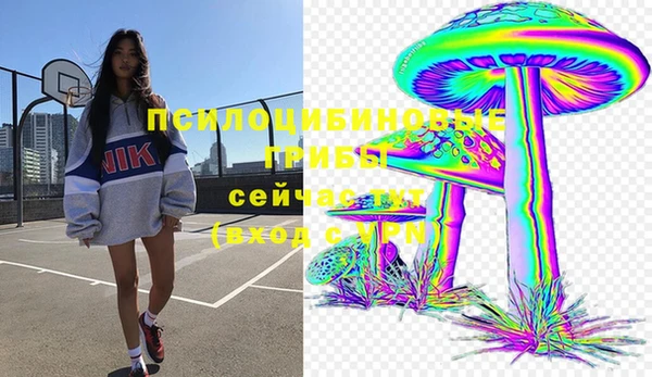 индика Баксан