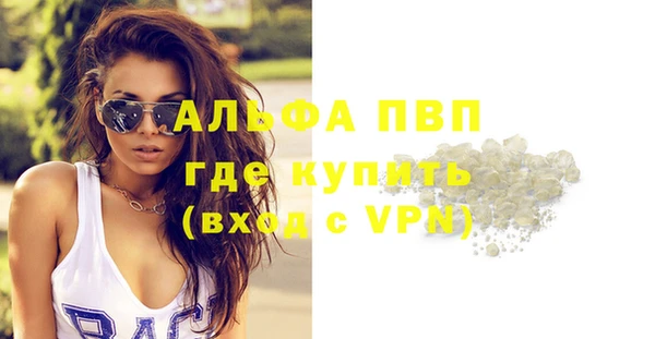 индика Баксан