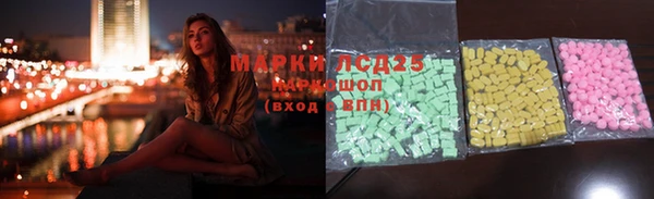 индика Баксан