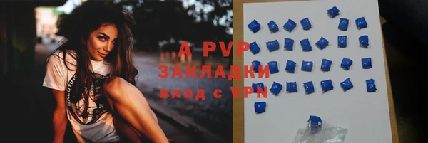 молекула духа Балахна