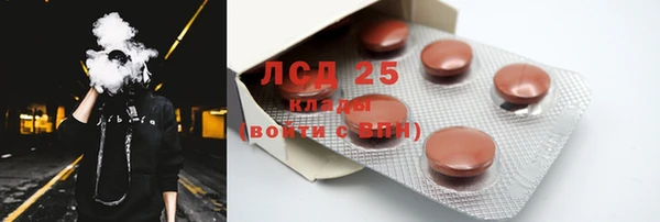 индика Баксан