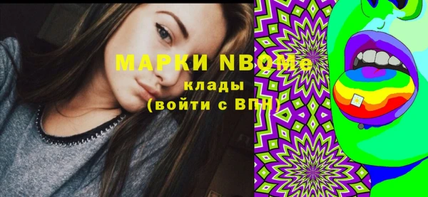 индика Баксан