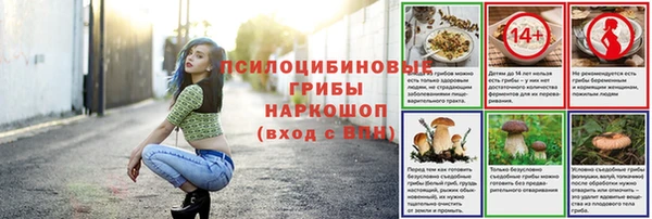 индика Баксан