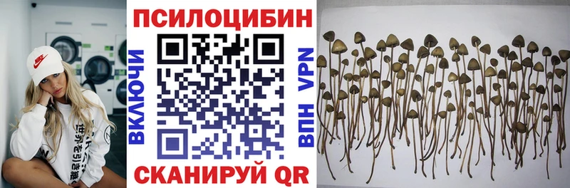 hydra зеркало  Новый Оскол  Псилоцибиновые грибы Psilocybe 