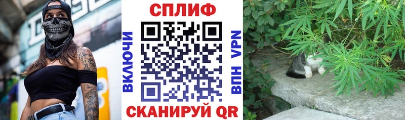 где найти   Новый Оскол  Канабис OG Kush 